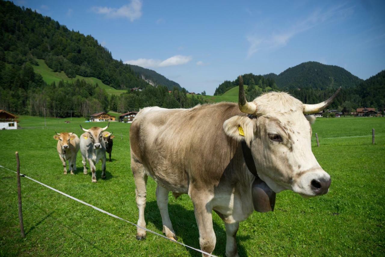Geigers Ferienhaus Tiefenbach bei Oberstdorf Екстер'єр фото